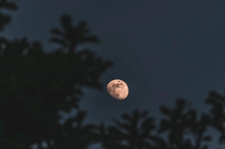 Суперлуние и голубую Луну в ночь на 31 августа смогут увидеть жители Ставрополья