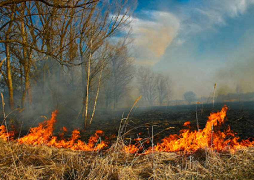 Очередные угрозы пожаров возможны на Ставрополье