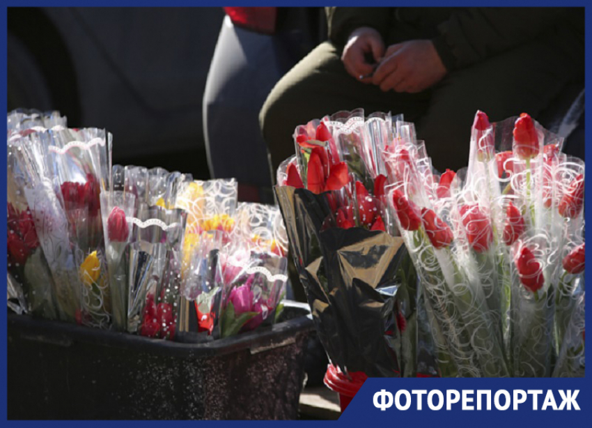 К 8 марта Ставрополь «утонул» в тюльпанах, мимозе и шарах