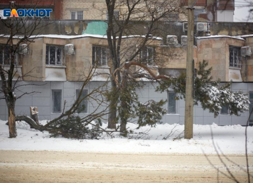 В Ставрополе полностью наладили работу электричества после урагана