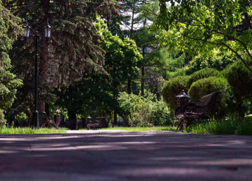 В Ставрополе в четверг весь день будет идти дождь
