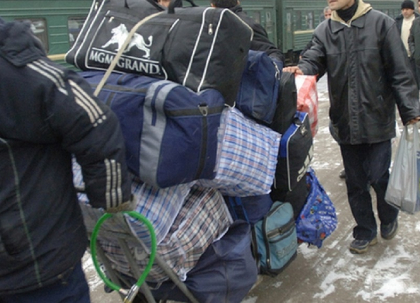 «Зубная боль Ставрополья»: нелегальные мигранты отнимают у местных рабочие места и устанавливают свои порядки