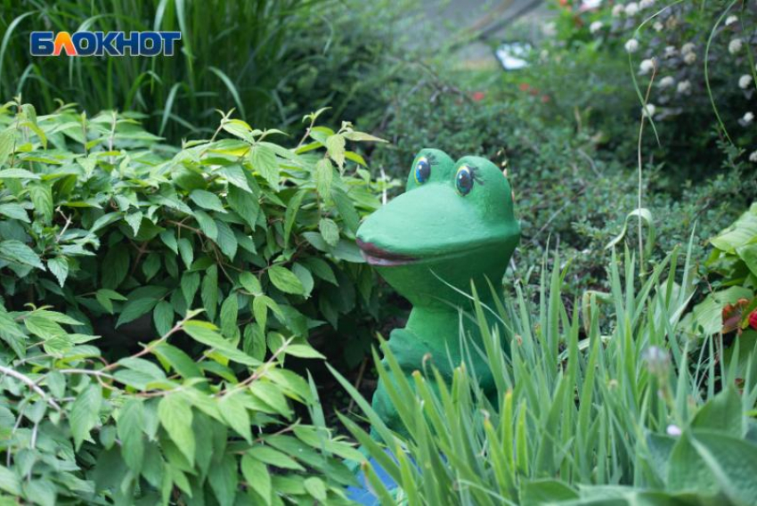 С жары до +37 градусов и тотального отсутствия дождей начнется последняя неделя июля на Ставрополье