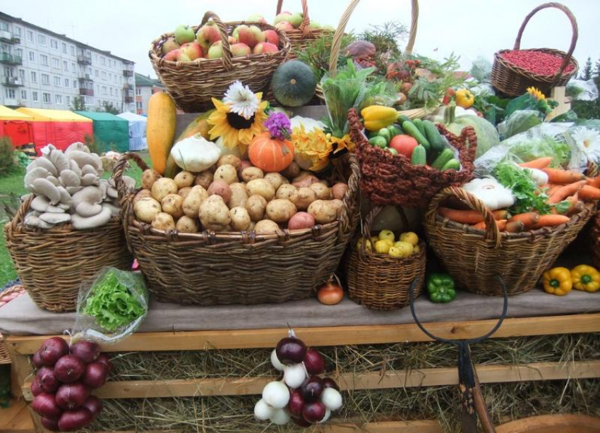 Ярмарки выходного дня снова пройдут в Ставрополе 