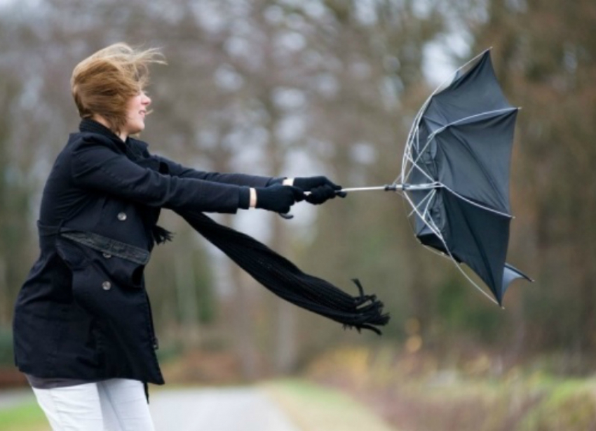 Летающий подоконник и гнущаяся ель: как спасатели устраняли последствия сильного ветра в Ставрополе