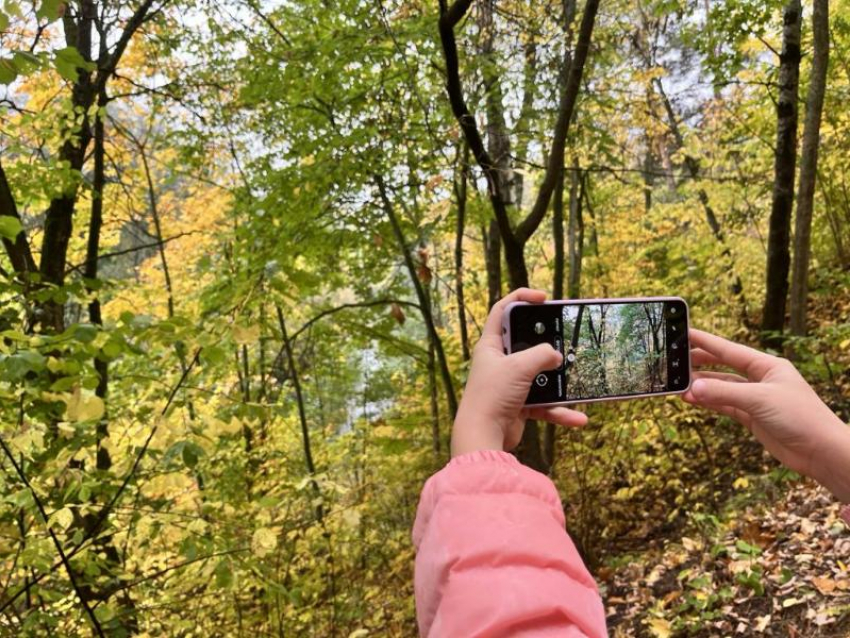 На Ставрополье дети переключились с TikTok на мессенджеры