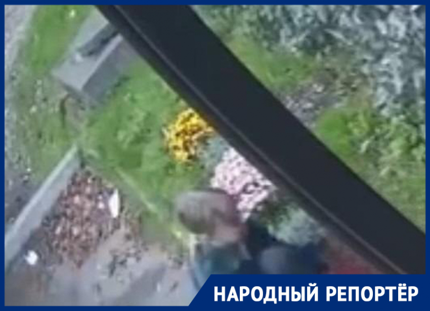 Неизвестные подростки оборвали клумбу в Пятигорске и попали на видео