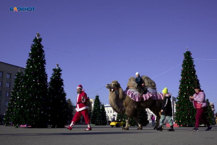Потеплением до +10 градусов днем порадует ставропольцев погода 19 декабря