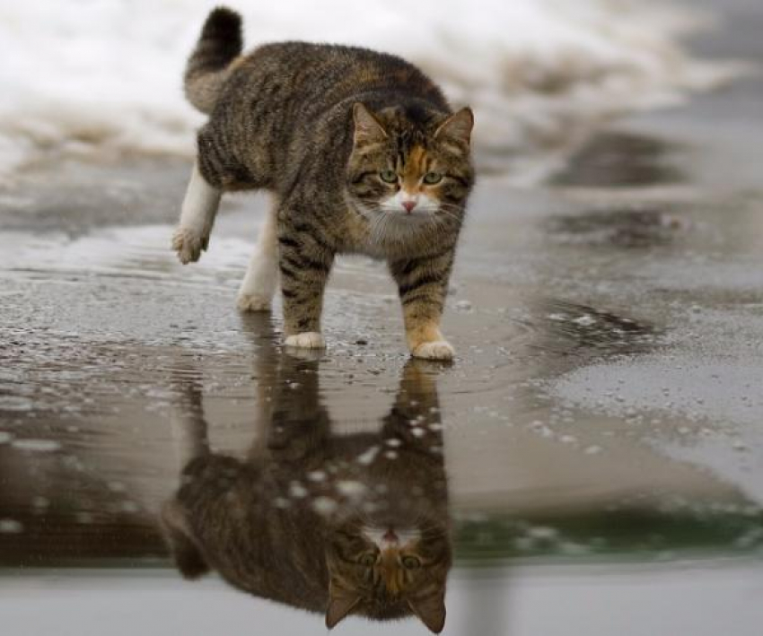 Дождь и снег ожидаются в воскресенье на Ставрополье
