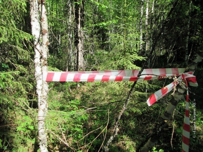 Ужасное убийство в ставропольском лесу раскрыто