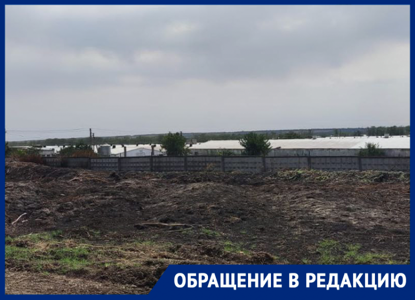 Жженые горы фекалий и падаль с птицефабрики в Георгиевском округе не дают дышать ставропольцам