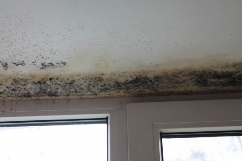 Активисты выявили проблемы программы капремонта на Ставрополье