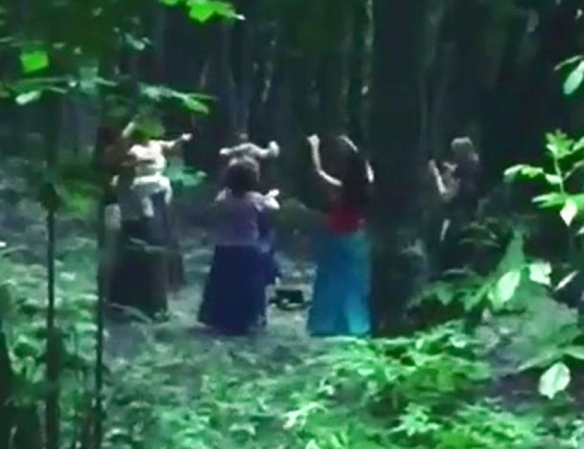 «Видео, женщина,карие глаза,фея,лес» — создано в Шедевруме