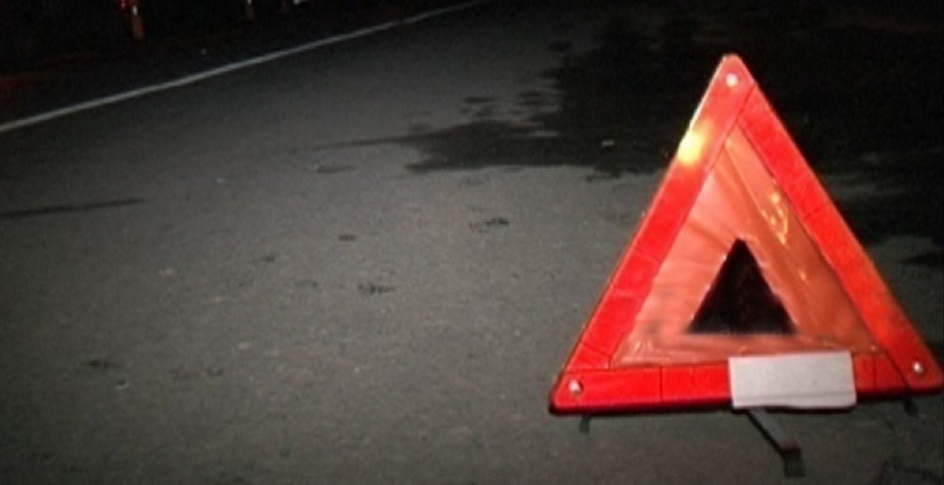 Крупное животное сбил водитель в темноте на трассе Ставрополья