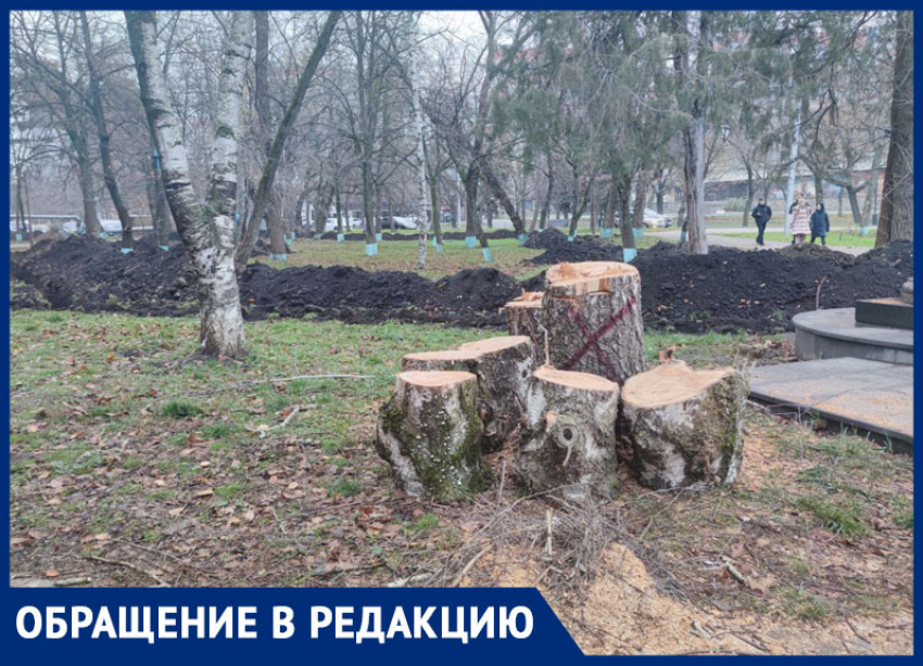 Спил деревьев в сквере Ставрополя у лицея №8 возмутил горожан