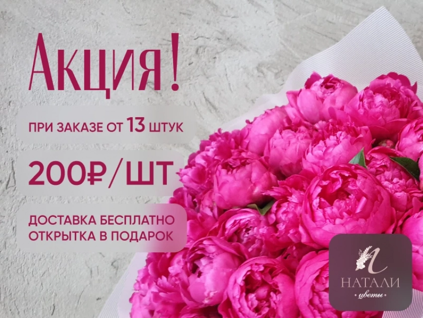 Цены рухнули: сортовые пионы отдают за копейки — спешите заказать в Ставрополе