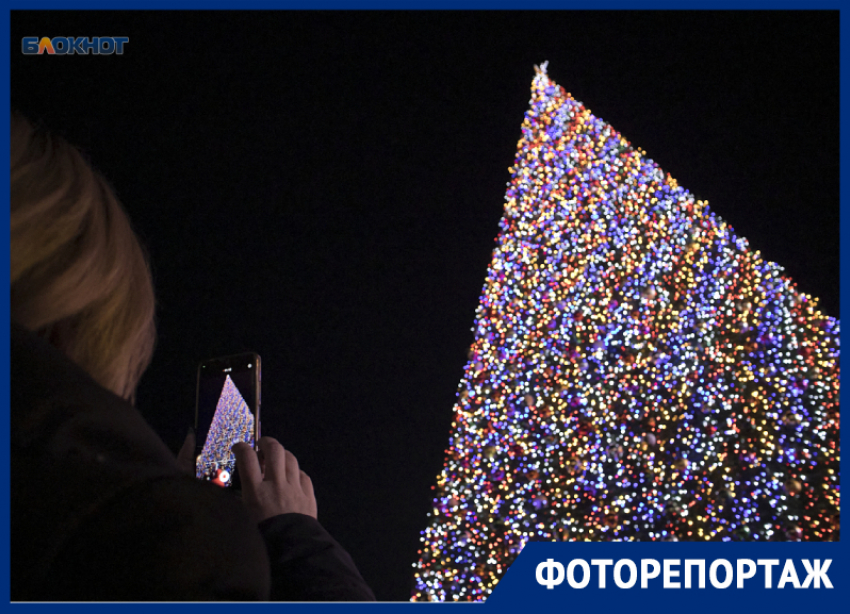 Огни зажгли на главной елке Ставрополя