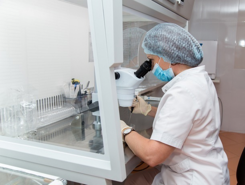 На Ставрополье растет мужской фактор бесплодия