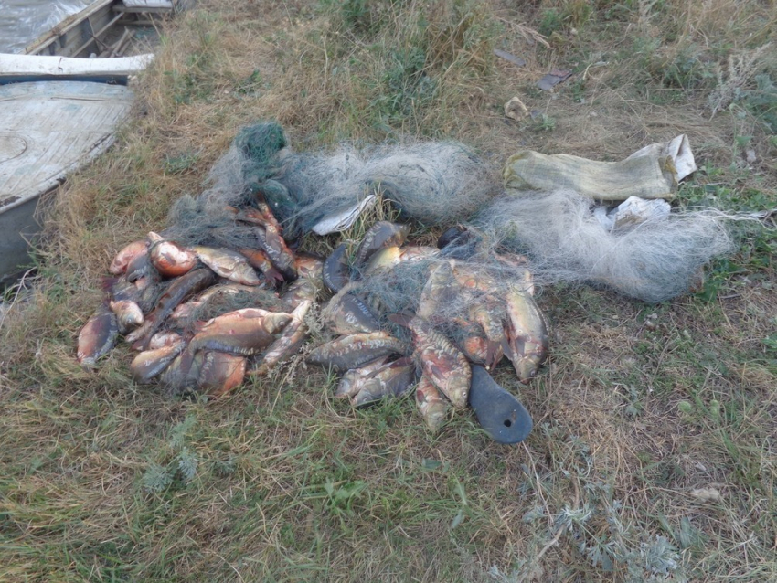 В Изобильнеском районе арестовали рыбаков 