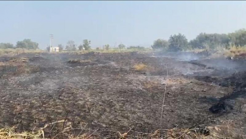 Причиной неприятного запаха в Буденновске оказался пожар дамбы на озере Буйвола 