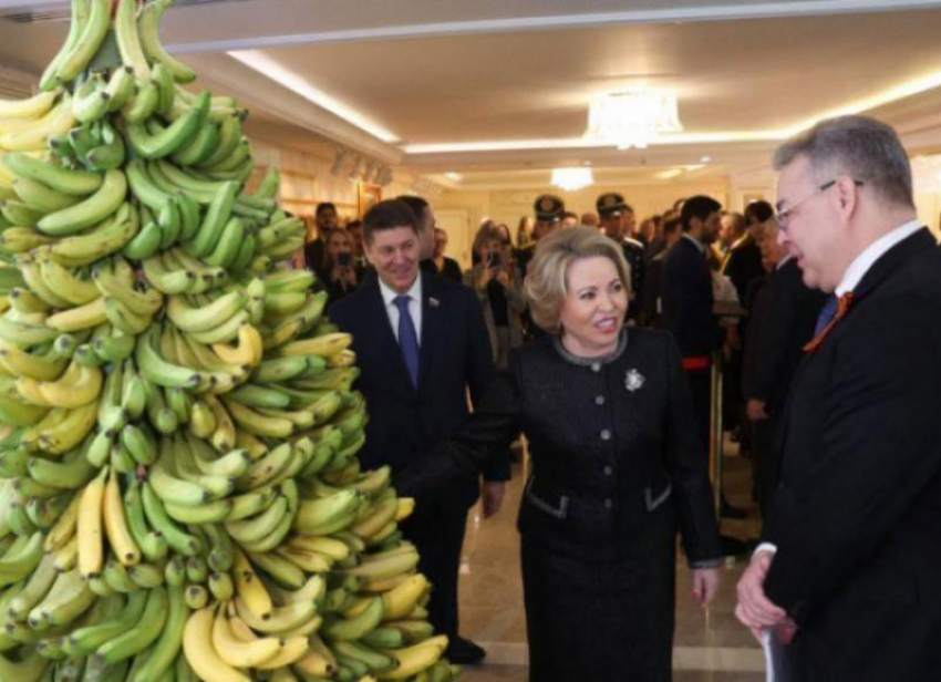 Банановый оазис, новый бассейн и высокие коммунальные платежи : что обещали ставропольцам чиновники к 2026-му году