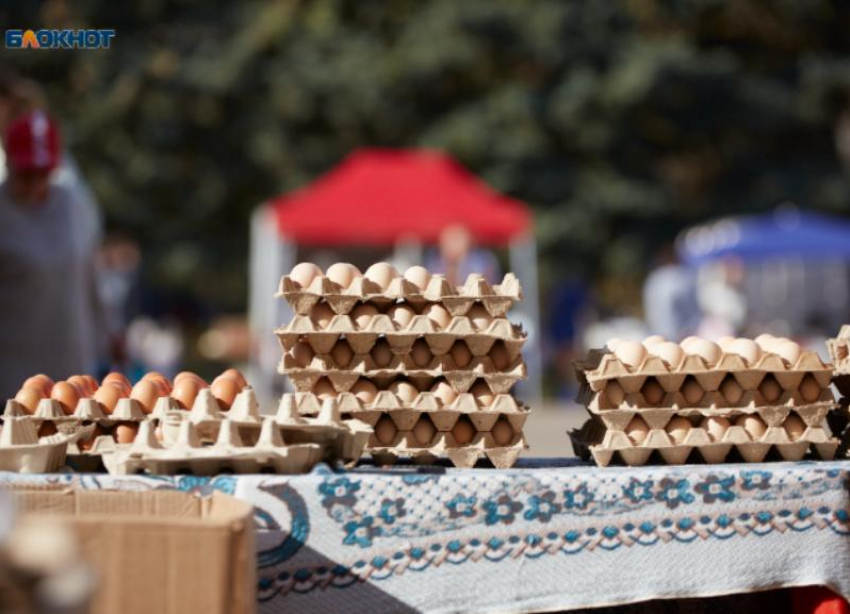 Куры смеются последними: подорожание яиц зафиксировали в преддверии Нового года на Ставрополье 