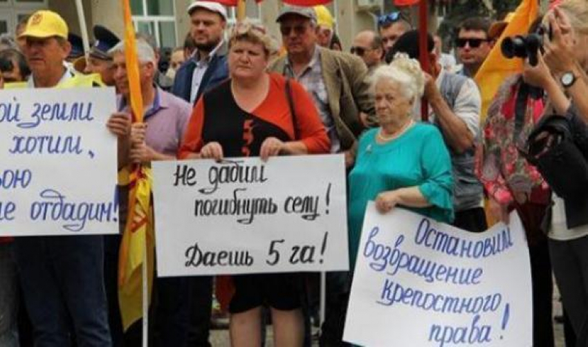 Фермеры Ставрополья попросили помощи у Путина из-за антинародного закона о земле