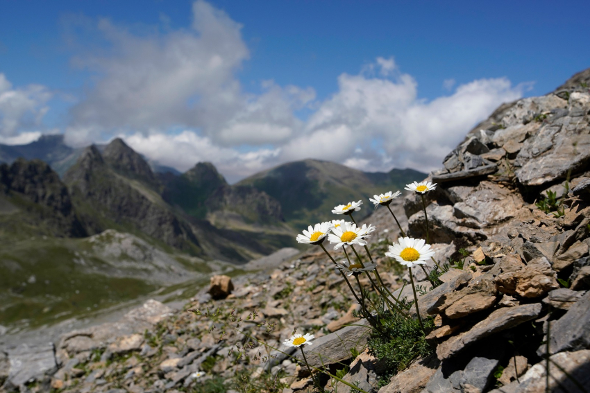 Билайн: трасса «Кавказ» стала популярнее у путешественников этим летом