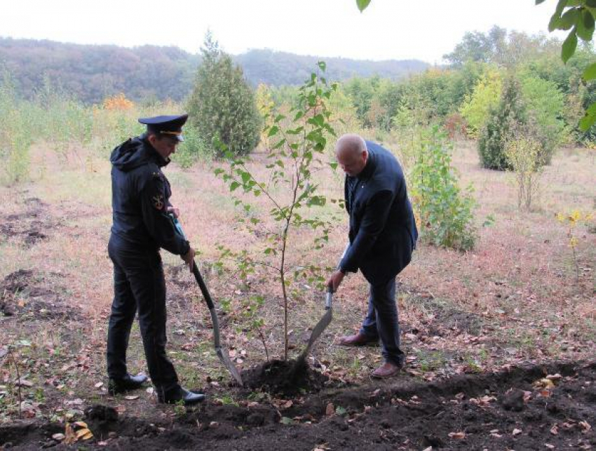На Ставрополье полицейские посадили «Лес победы»