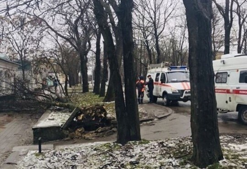 Ураганный ветер продолжит бушевать в Ставрополе