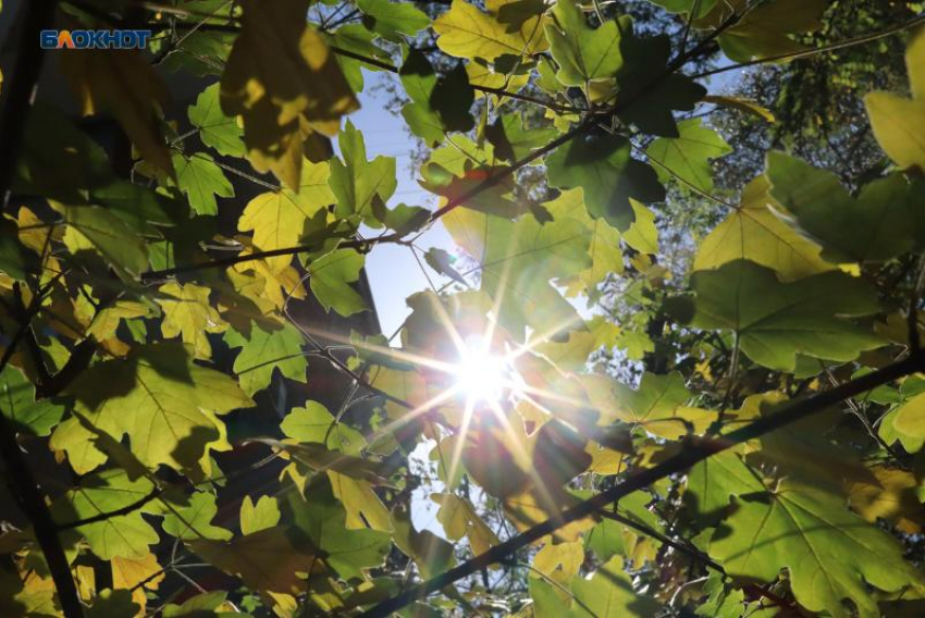 До 0 градусов опустится температура 20 ноября на Ставрополье