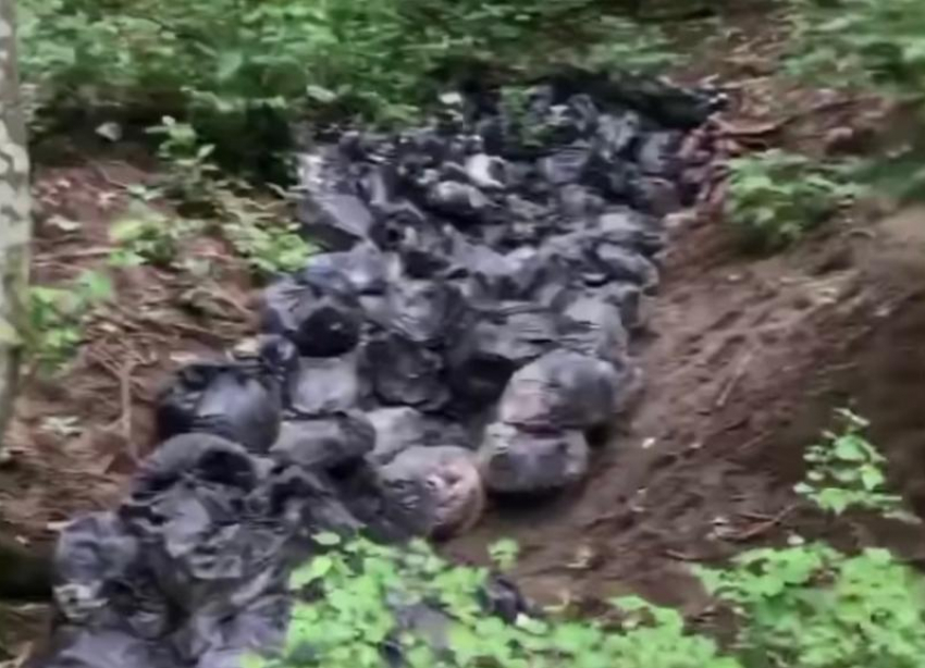 В Ставрополе в Русском лесу жители города обнаружили сотню мешков с мусором