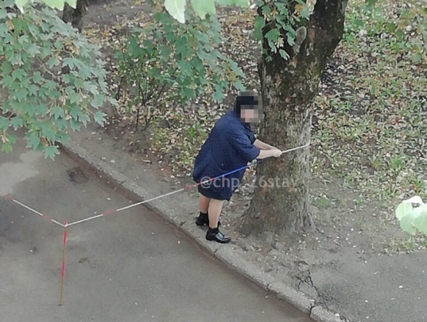 Предприимчивая женщина нашла способ «забить» место на общественной парковке в Ставрополе
