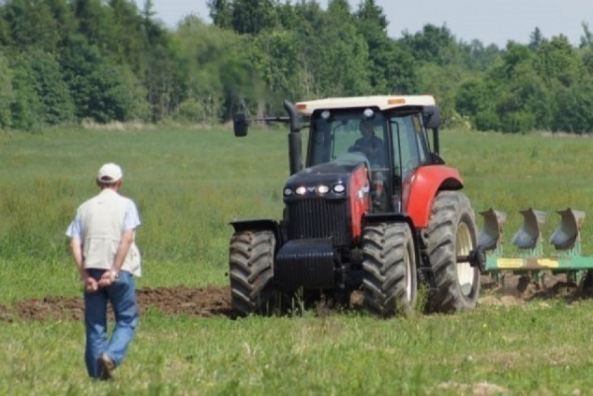Десять миллионов рублей за «липовые» сельхозработы получили из бюджета фермеры на Ставрополье