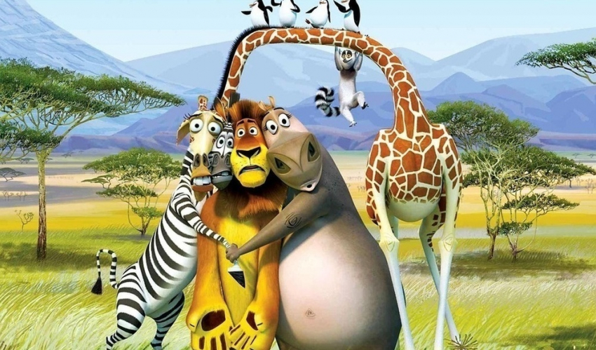 Герои детского мультфильма «Мадагаскар» стали фигурантами административного дела