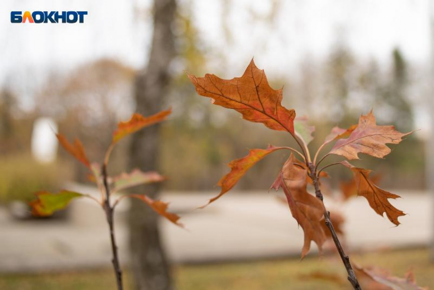 Стремительное похолодание до +4 градусов грядет на Ставрополье