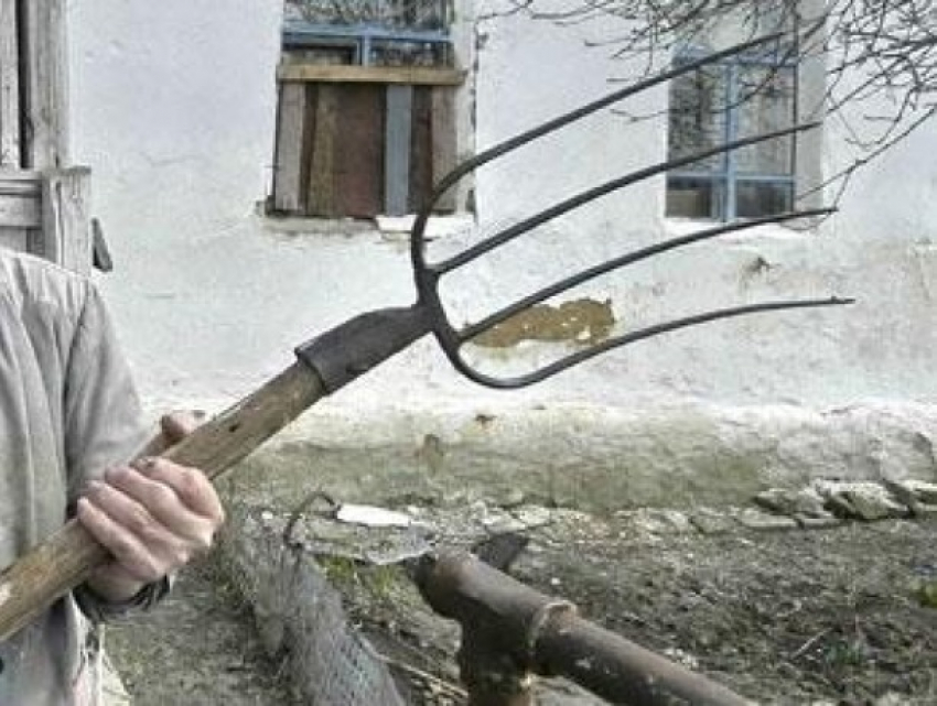 В попытке заполучить чужие автомобили покупатель заколол вилами двоих и зарубил топором третьего продавца на Ставрополье