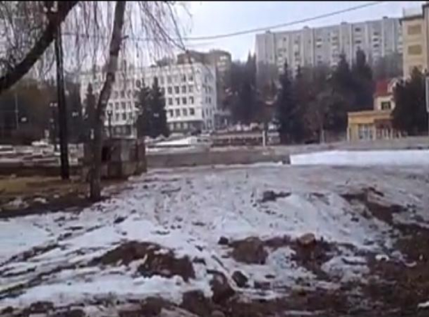 Вырубку деревьев у кинотеатра «Россия» в Кисловодске засняли на видео