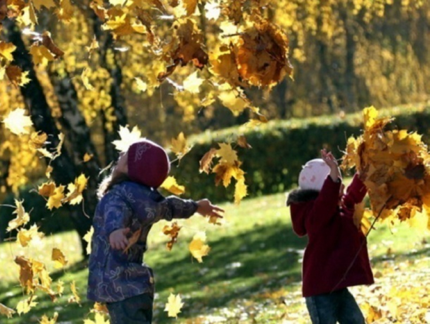 Свыше 20 градусов тепла порадуют ставропольчан в последний день рабочей недели