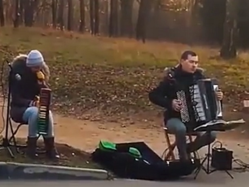 Известную тему из легендарной GTA исполнили уличные музыканты в Национальном парке Кисловодска 