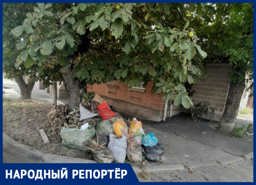 «Вам мусор мешает — вы и уберите»: свалка на Шпаковской в Ставрополе «достала» людей
