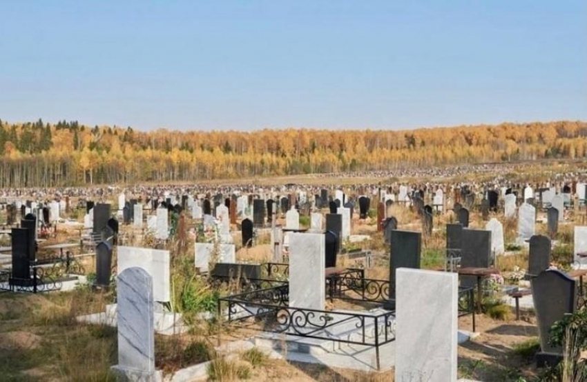 Земельный участок под новое кладбище ищет администрация Ставрополя