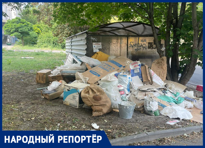«Вокруг просто ужас»: жительница Ставрополя шокирована огромной кучей мусора рядом с баками