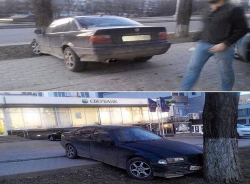 Парковкой в дерево удивил жителей Пятигорска владелец «БМВ"