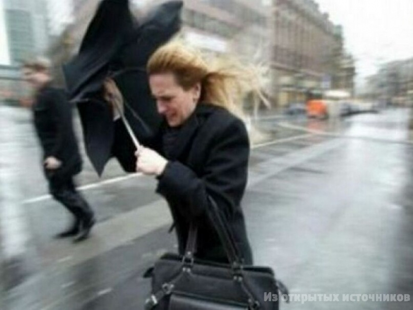 Сильные порывы ветра ожидают Ставрополье в начале рабочей недели 