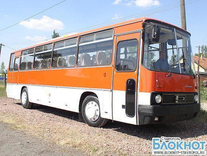 Рейсовый автобус из Махачкалы сбил пешехода насмерть на Ставрополье