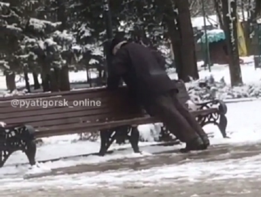 Разминку пожилого «тигра» сняли на видео жители Ставрополья 
