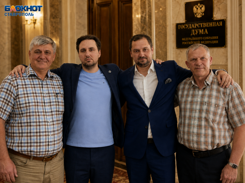 Jaguar, 11 счетов и программист с двумя миллионами: с чем идут в Госдуму ставропольские «яблочники»
