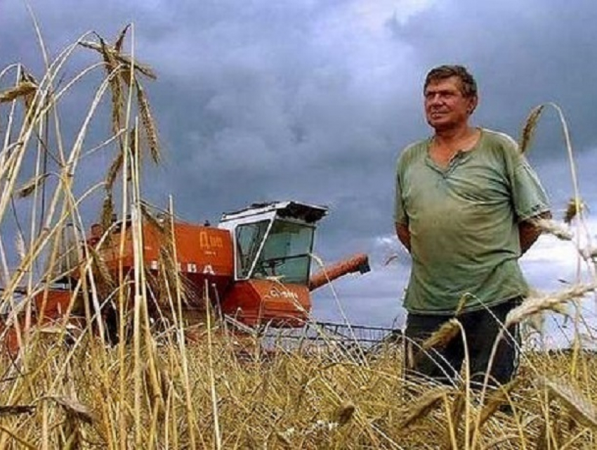 Ставропольские фермеры смогут получить до 30 миллионов рублей в качестве грантов