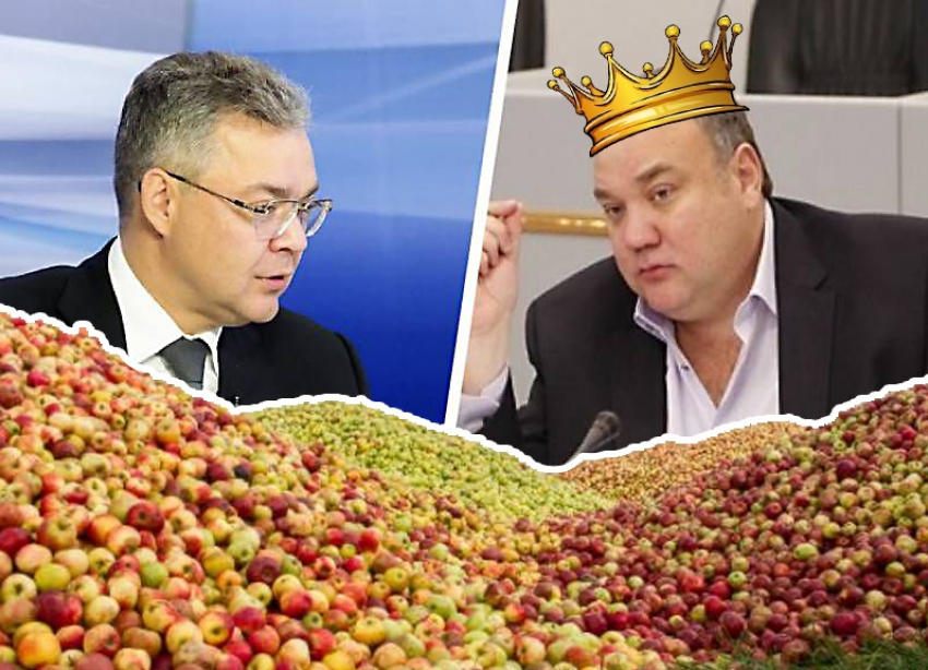 «Главный садовник» и экс-депутат краевой думы Ширинов получит очередные преференции из бюджета Ставрополья